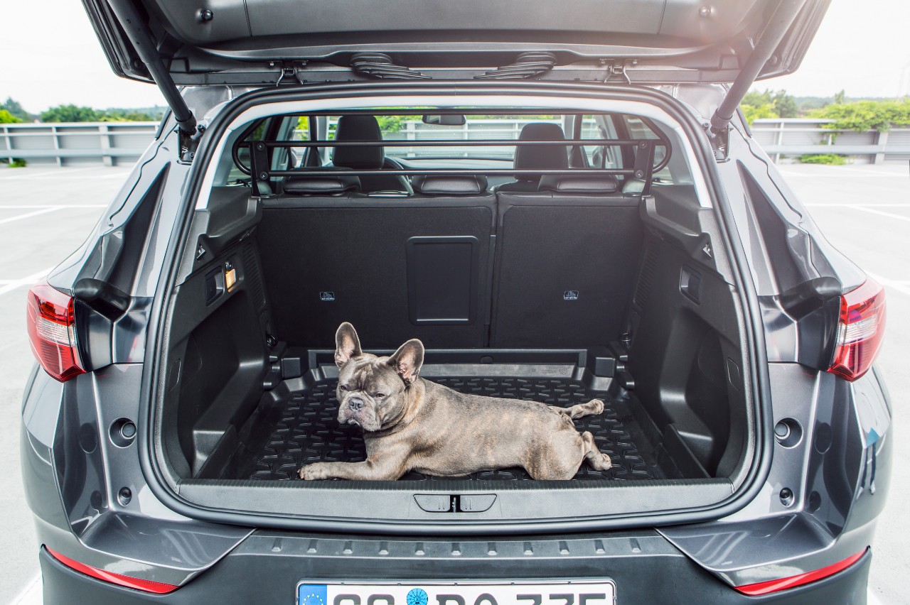 Practical accessories for Opel Grandland X
